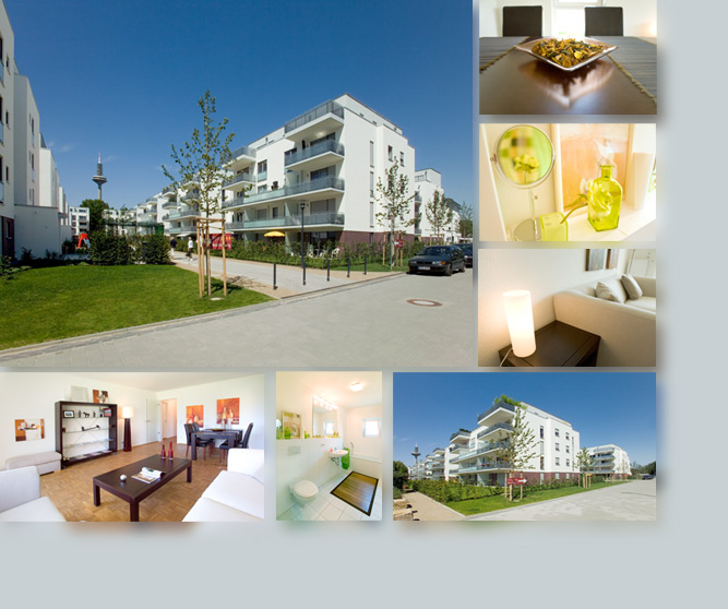 Patrick Schad - Fotografie - Ballwanz