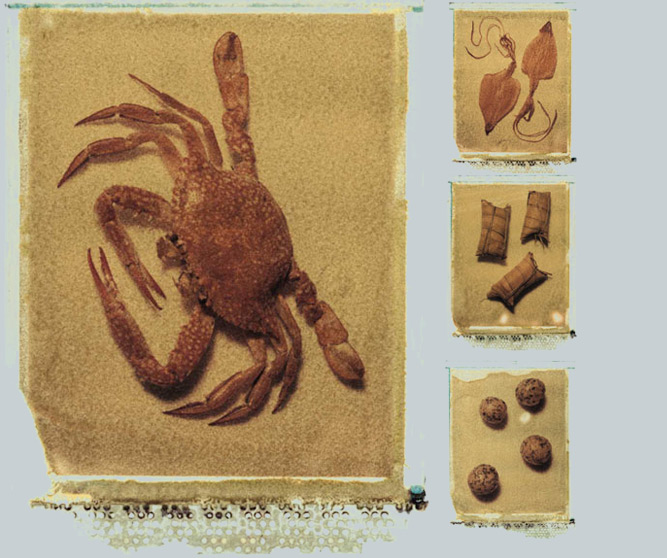 Patrick Schad - Fotografie - KanAm Immobilien