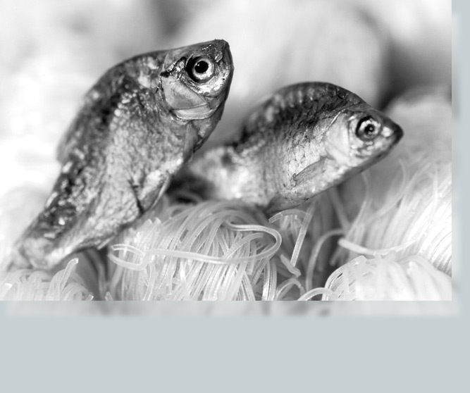 Patrick Schad - Fotografie - m+a Verlag