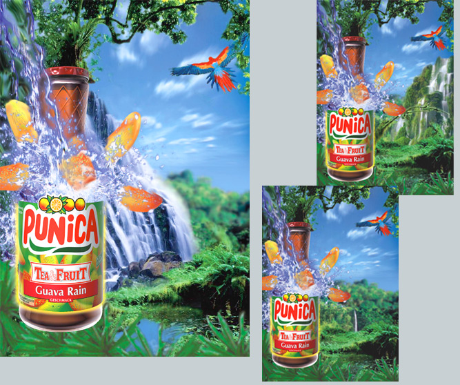 Patrick Schad Referenzen